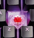 Under the keycaps you’ll find Cherry MX switches.