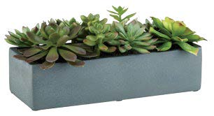 Artificial succulents in a pot, $84.95, from Crate and Barrel.