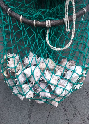 Seashells in a net symbolise the many shellfish these courageous haenyeos dive for.