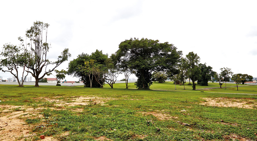 Keeping in step with the Urban Redevelopment Authority’s “A Community in a Garden” vision for the estate, greenery will be a major feature in Bidadari, extending beyond the park, to include the garden-living theme of Alkaff Vista.