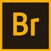 Adobe
Bridge